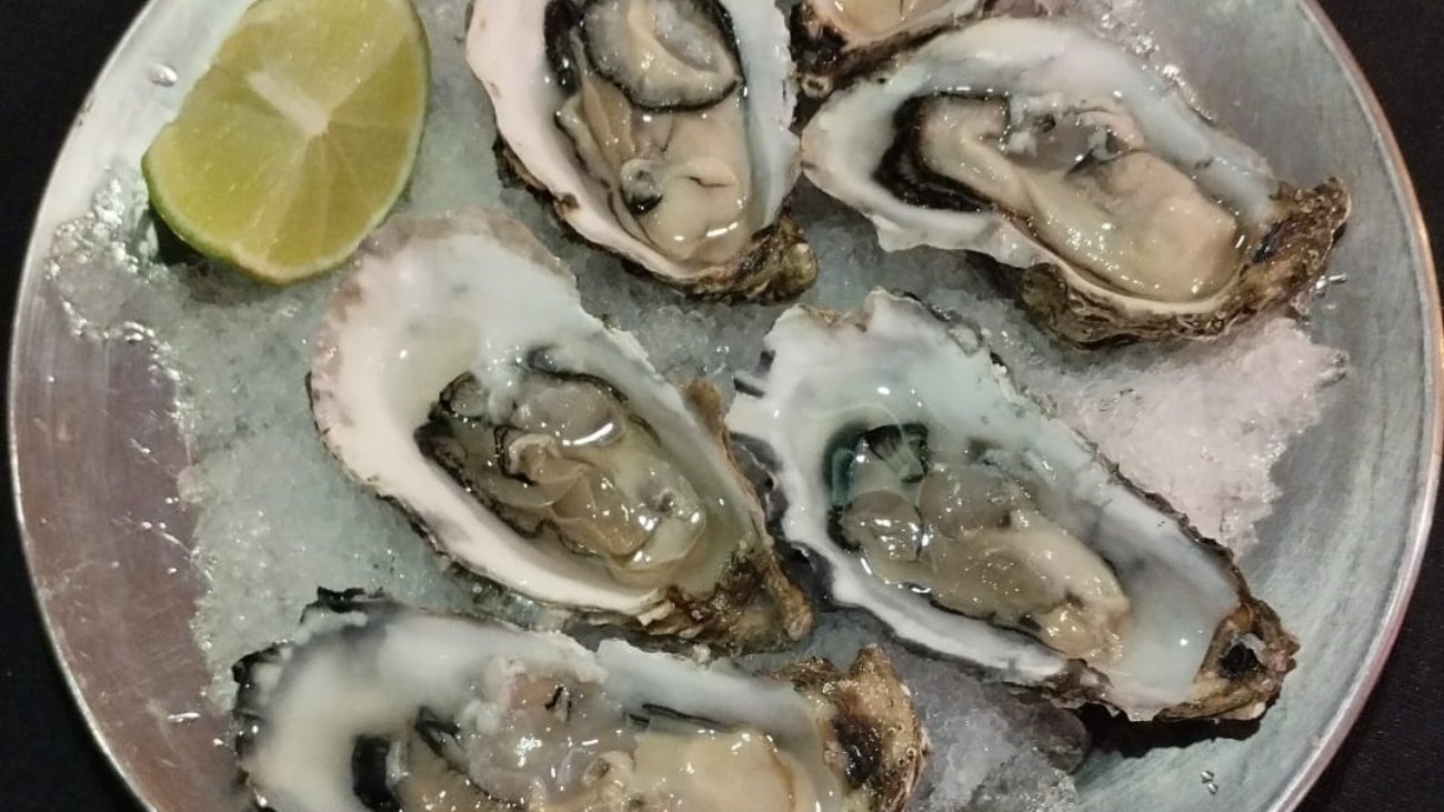 4afa24ff-5619-47e4-87ed-c15be5df4b74